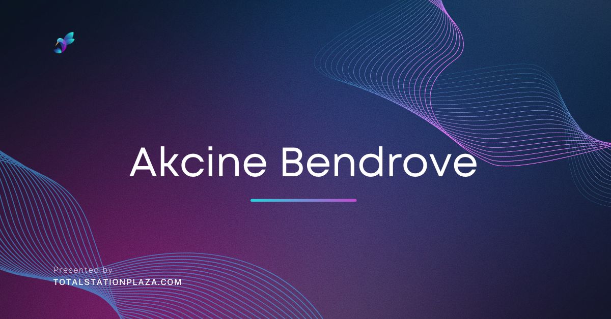 akcine bendrove