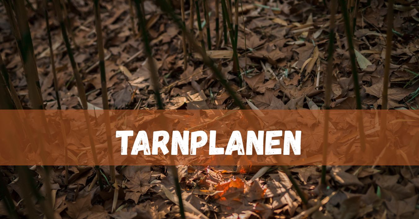 Tarnplanen