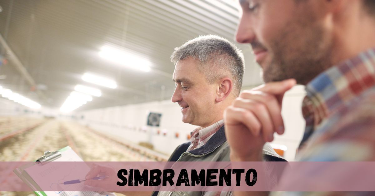 simbramento